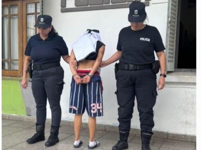 Una mujer detenida por robo agravado y violacin de domicilio
